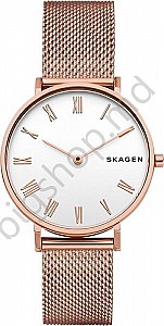 Ceas de mana SKAGEN SKW2714