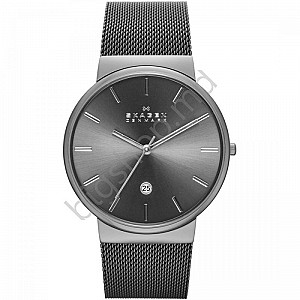 Наручные часы SKAGEN SKW6108