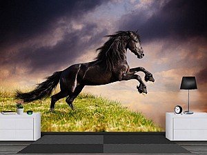 Fototapet 3d Art.Desig Cal negru
