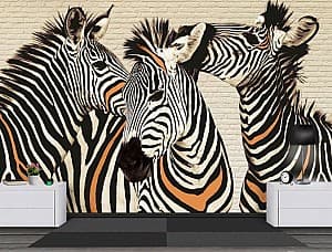 Fototapet 3d Art.Desig Trei zebre