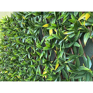 Plasa decorativa gard Greentech Willow-Yellow