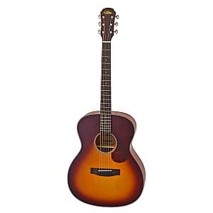 Chitara acustica Aria 101 MTTS