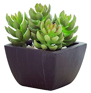 Flori artificiale Casa Masa Sedum în ghiveci 10x14 cm