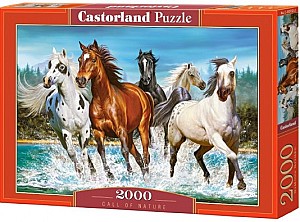 Пазлы Castorland C-200702