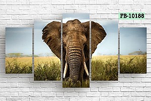Tablou multicanvas Art.Desig Elephant FB-10188