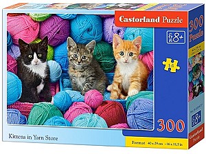 Puzzle Castorland B-030477