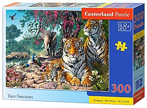 Puzzle Castorland B-030484
