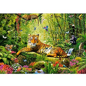 Puzzle Castorland B-53711