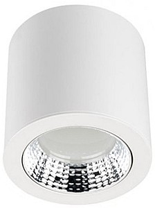 Corp de iluminat directionat LED Rightlight 21W (LBLSRF0321)