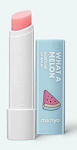 Balsam de buze Manyo Factory What A Melon Moisture Lip Balm