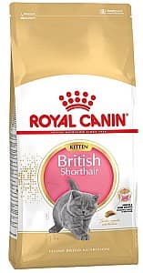 Hrana uscata pentru pisici Royal Canin British Shorthair Kitten 2kg