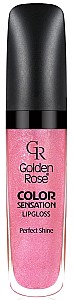 Luciu pentru buze Golden Rose Color Sensation 110 (8691190704100)