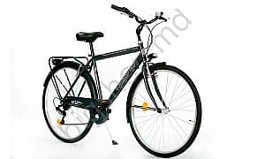 Bicicleta de oras Master Teh Andrei Tchmil LINX