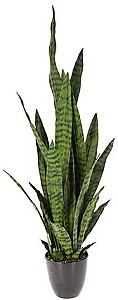 Flori artificiale NVT Sansevieria (49465)