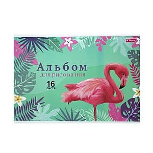 Album New World Flamingo (885-16-70AT)