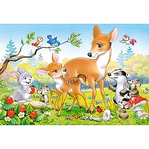 Puzzle Castorland Maxi 40 (B-040384)