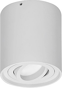 Направленый светодиодный светильник ORNO Carolin 35W White (OROD6146WGU10)