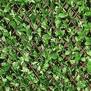 Plasa decorativa gard Greentech 19003 Willow-Rose