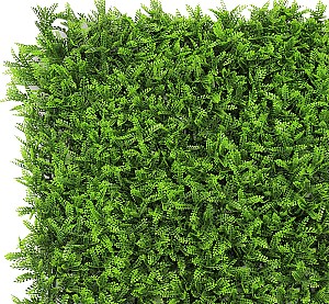 Plasa decorativa gard Greentech 17702G Fern 50cmx50 cm