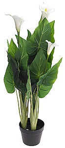 Flori artificiale NVT Zantedeschia