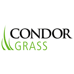 Condor Grass