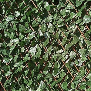 Plasa decorativa gard Greentech Willow-Laurel